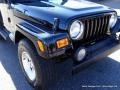2004 Black Jeep Wrangler Sahara 4x4  photo #29