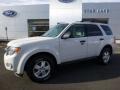 White Suede 2012 Ford Escape XLT V6 4WD