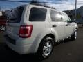 White Suede - Escape XLT V6 4WD Photo No. 5