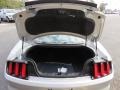 Ingot Silver Metallic - Mustang GT Coupe Photo No. 9