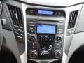 Radiant Silver - Sonata GLS Photo No. 13