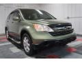 Green Tea Metallic - CR-V EX-L 4WD Photo No. 5