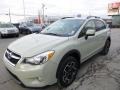 Desert Khaki - XV Crosstrek 2.0i Limited Photo No. 12