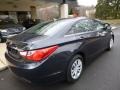 Pacific Blue Pearl - Sonata GLS Photo No. 17