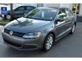 Platinum Gray Metallic - Jetta SE Sedan Photo No. 4