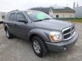 2006 Mineral Gray Metallic Dodge Durango SLT 4x4  photo #11