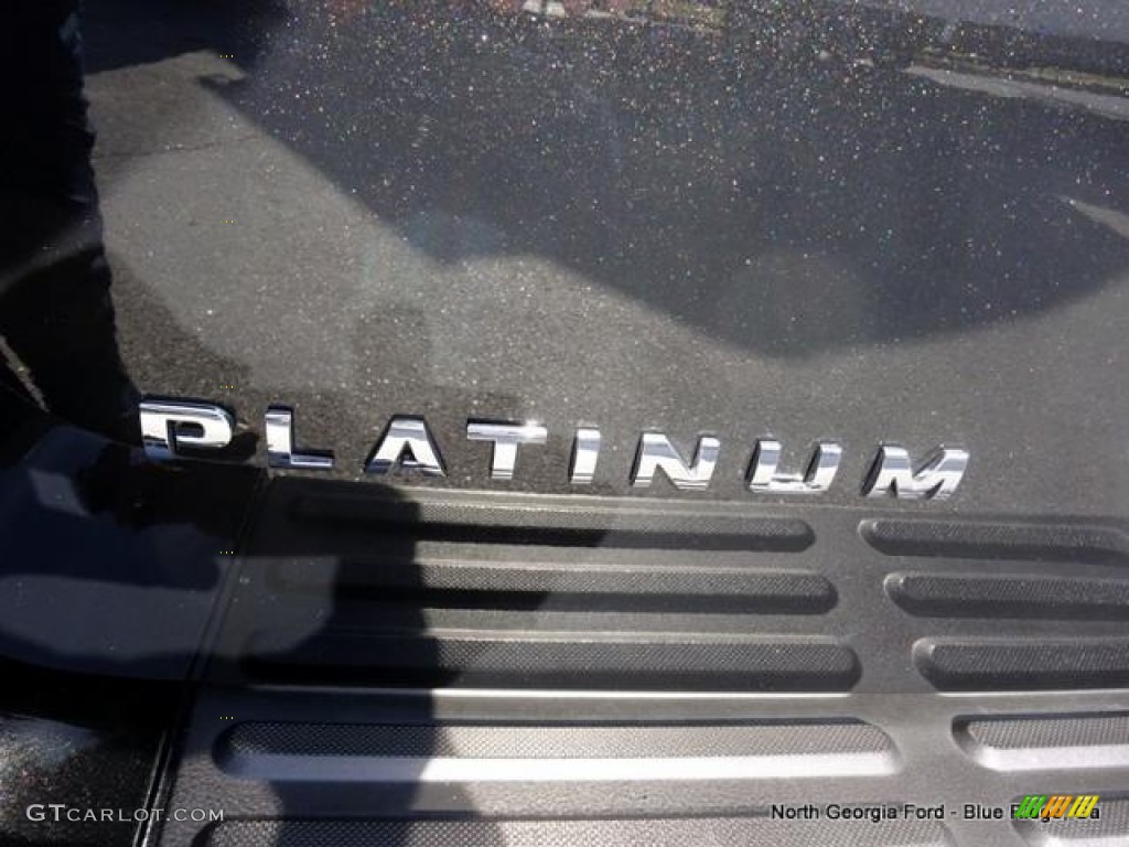 2015 Expedition Platinum 4x4 - Tuxedo Black Metallic / Platinum Brunello photo #43