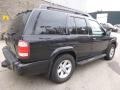 Super Black - Pathfinder SE 4x4 Photo No. 2
