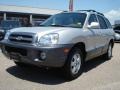 Smart Silver - Santa Fe GLS 4WD Photo No. 1