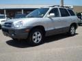 Smart Silver - Santa Fe GLS 4WD Photo No. 2