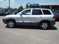 Smart Silver - Santa Fe GLS 4WD Photo No. 3