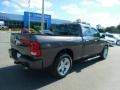 Mineral Gray Metallic - 1500 Express Quad Cab Photo No. 8