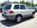 Smart Silver - Santa Fe GLS 4WD Photo No. 6