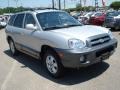 Smart Silver - Santa Fe GLS 4WD Photo No. 8