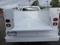 Oxford White - F250 Super Duty XL Regular Cab Chassis Photo No. 5