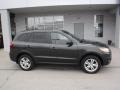 Black Forest Green - Santa Fe SE V6 AWD Photo No. 2