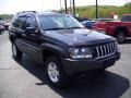 2004 Brillant Black Crystal Pearl Jeep Grand Cherokee Laredo 4x4  photo #7