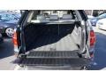 Platinum Gray Metallic - X5 xDrive35d Photo No. 39
