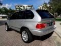 Titanium Silver Metallic - X5 3.0i Photo No. 5