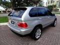 Titanium Silver Metallic - X5 3.0i Photo No. 9