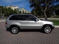 Titanium Silver Metallic 2002 BMW X5 3.0i Exterior