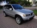 Titanium Silver Metallic 2002 BMW X5 3.0i Exterior