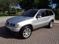 Titanium Silver Metallic - X5 3.0i Photo No. 21