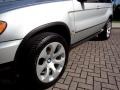 Titanium Silver Metallic - X5 3.0i Photo No. 23