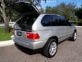 Titanium Silver Metallic - X5 3.0i Photo No. 25