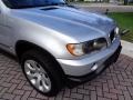Titanium Silver Metallic - X5 3.0i Photo No. 36