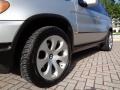 Titanium Silver Metallic - X5 3.0i Photo No. 44