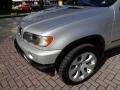 Titanium Silver Metallic - X5 3.0i Photo No. 46