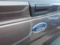 2015 Caribou Metallic Ford F150 XLT SuperCrew  photo #10