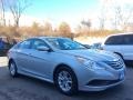 Radiant Silver - Sonata GLS Photo No. 3