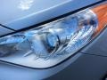 Radiant Silver - Sonata GLS Photo No. 31