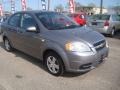 2008 Medium Gray Metallic Chevrolet Aveo LS Sedan  photo #6