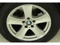 Alpine White - X5 4.8i Photo No. 10