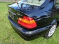 2003 Jet Black BMW 3 Series 325xi Sedan  photo #23