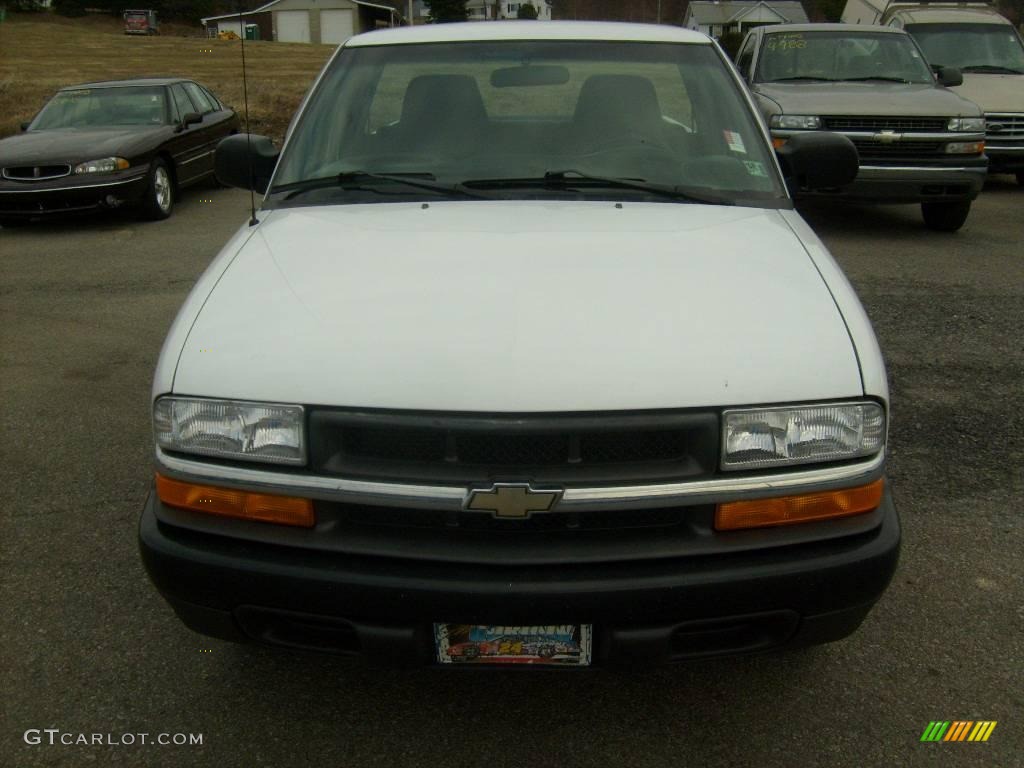 2001 S10 Regular Cab - Summit White / Medium Gray photo #8