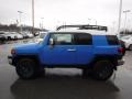 2007 Voodoo Blue Toyota FJ Cruiser 4WD  photo #6
