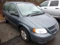 2006 Magnesium Green Pearl Dodge Caravan SE  photo #5