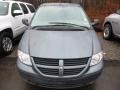 2006 Magnesium Green Pearl Dodge Caravan SE  photo #6