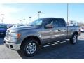 Sterling Gray Metallic - F150 XLT SuperCab 4x4 Photo No. 7