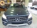 2014 Steel Grey Metallic Mercedes-Benz ML 350 4Matic  photo #11