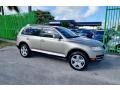 Wheat Beige Metallic - Touareg V8 Photo No. 43