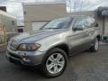 2006 Sterling Grey Metallic BMW X5 4.4i #109541683