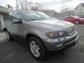 2006 Sterling Grey Metallic BMW X5 4.4i  photo #3