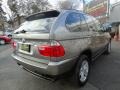 2006 Sterling Grey Metallic BMW X5 4.4i  photo #5