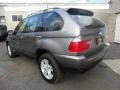 2006 Sterling Grey Metallic BMW X5 4.4i  photo #7