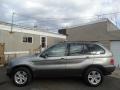 2006 Sterling Grey Metallic BMW X5 4.4i  photo #8